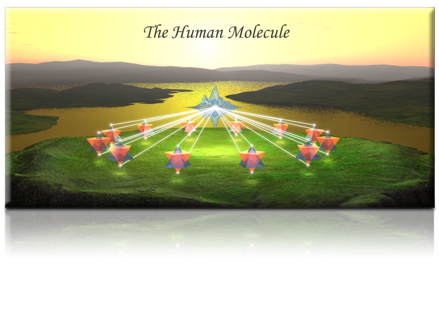 The Human Molecule